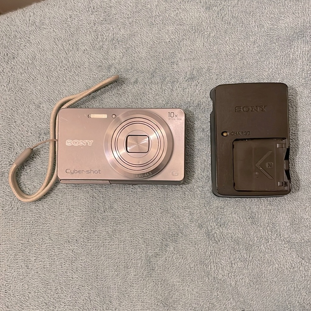 Sony Cybershot DSC-W690 Digital Camera